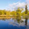Cheap car rental in Lacey