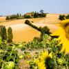 Cheap car rental in Le Haillan