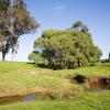 Cheap car rental in Ardeer