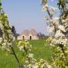 Cheap car rental in Mesagne