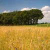 Cheap car rental in Klein Reken