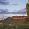 Cheap car rental in Sonora