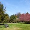Cheap car rental in Stony Brook