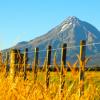 Flights from London to New Plymouth