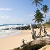 Guest Houses in Corn Island