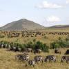 Atostogos be didelių išlaidų mieste Masai Mara