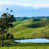 Budget car rental locations in Traralgon