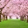 Cheap car rental in Kitakami