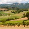 Maggiore car rental locations in Monterotondo