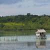 Flights from San Francisco to Tagbilaran City