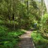 Cheap car rental in Dandenong