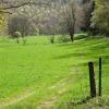 Cheap car rental in Kerpen