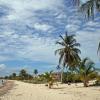 Apartments in Placencia Village