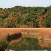 Cheap car rental in Webster