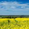 Cheap car rental in Erkelenz