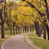 Cheap car rental in Brooklyn Park