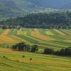 Cheap car rental in Satu Mare