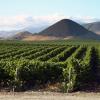 Cheap vacations in Paso Robles