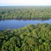 Vacanze economiche a Tortuguero