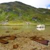 Cheap car rental in Deva