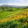 Murang car rental sa Chino Hills