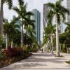 Alquiler de coche económico en Miami