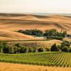 Cheap car rental in Walla Walla
