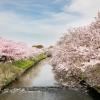 Cheap car rental in Funabashi