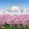 Cheap car rental in Shizuoka