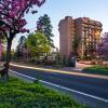 Cheap car rental in Salem