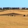 Cheap car rental in Móstoles