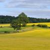 Cheap car rental in Livingston
