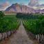 Günstige Mietwagen in Stellenbosch