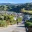Cheap car rental in Dunedin