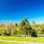 Cheap car rental in Bendigo