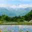 Billig billeje i Nagano