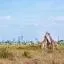 Autounion car rental locations in Nairobi