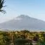 Cheap car rental in Arusha