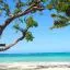 Cheap car rental in Ocho Rios