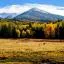 Cheap car rental in Flagstaff