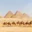 Avis car rental locations in Cairo