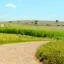 Cheap car rental in Limeira