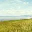 Cheap car rental in Tracadie