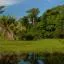 Cheap car rental in Rondonópolis