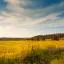 Cheap car rental in Pirassununga