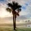 Cheap car rental in Sumter