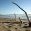 Aluguel de carro barato em Follonica