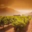 Cheap car rental in Napa