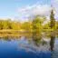 Cheap car rental in Lacey