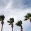 Cheap car rental in McAllen